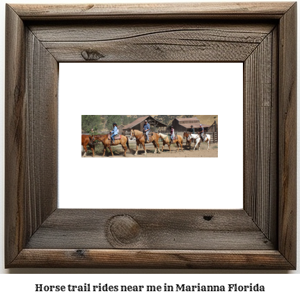 horse trail rides near me in Marianna, Florida